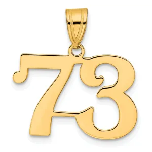 14k Yellow Gold Polished Finish Number 73 Charm Pendant