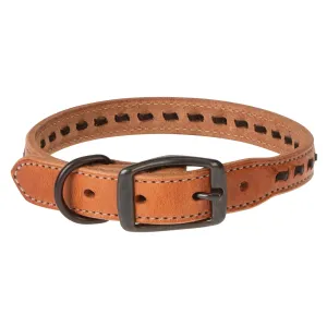 Buckstitch Dog Collar, 1", Russet