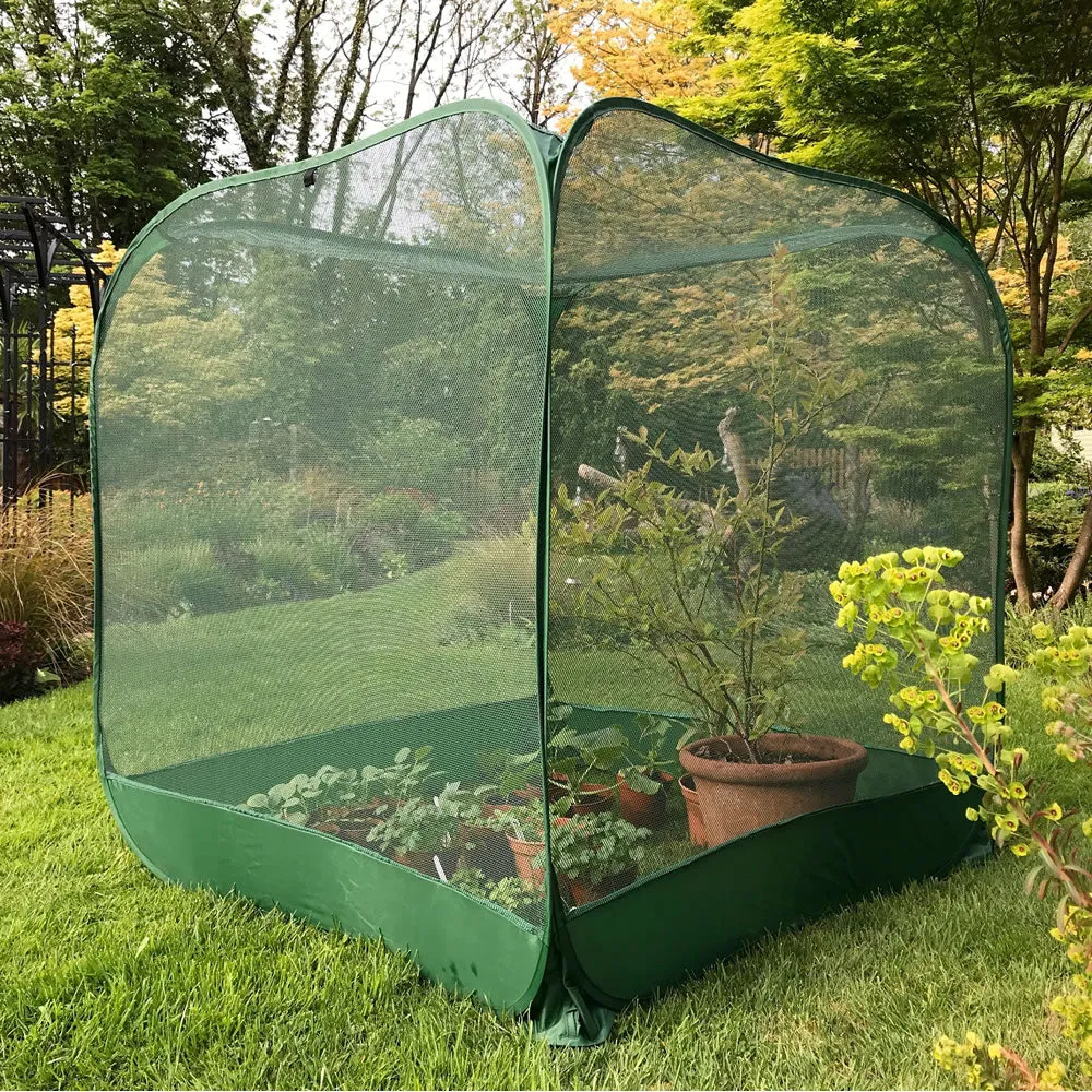 Pop Up Fruit Cage & Brassica Grow-House