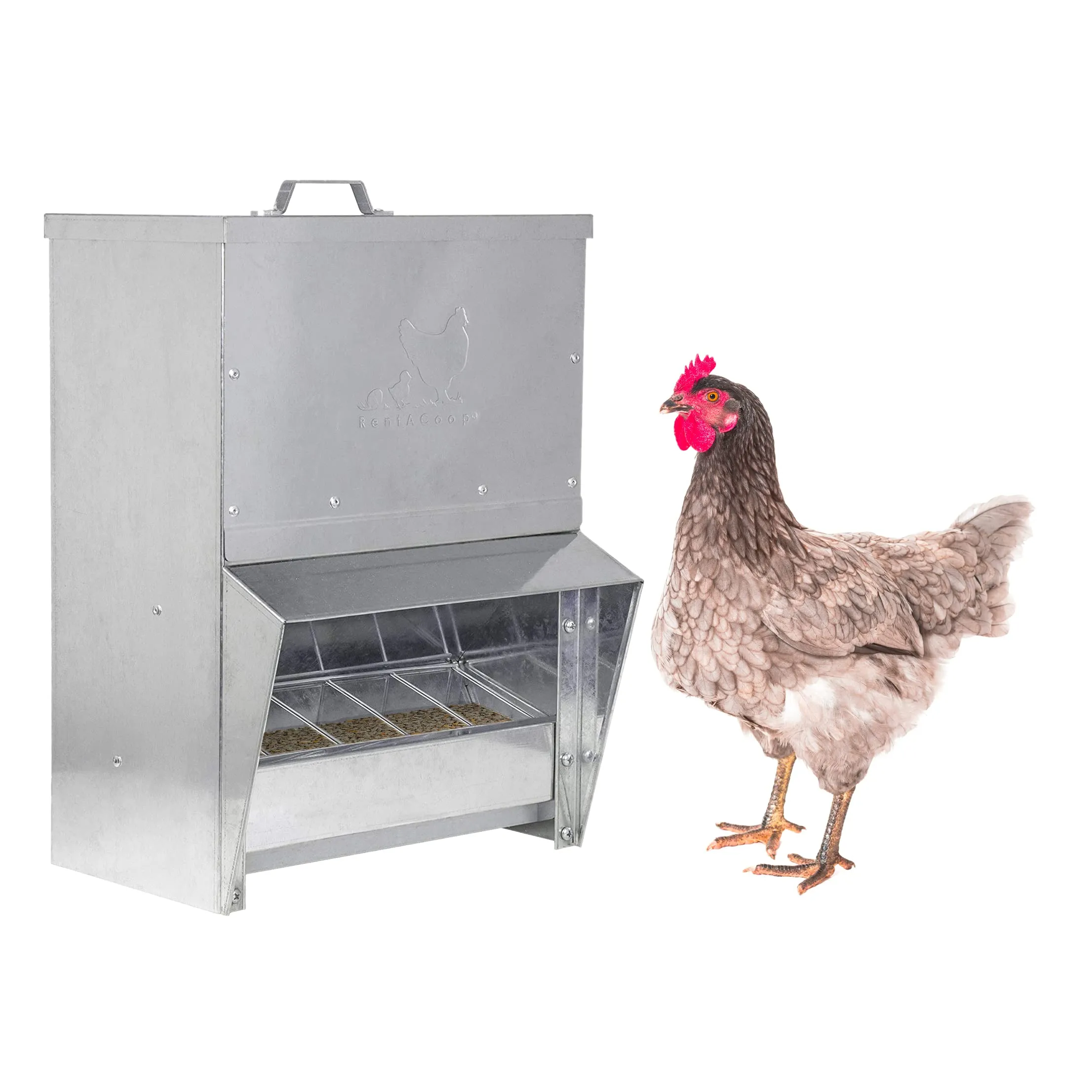 RentACoop Galvanized Chicken Tough Feeder, Weatherproof Poultry Food Dispenser with Lid